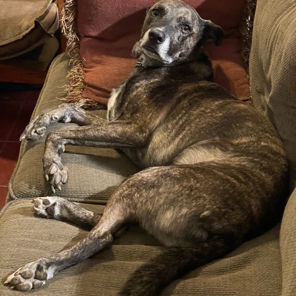 Meet your Posher, Kj - Picture 4 of 4